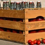 e liquide italien